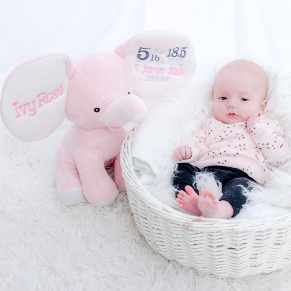 Kootenay the Dumble Stuffed Elephant - Pink - Plush